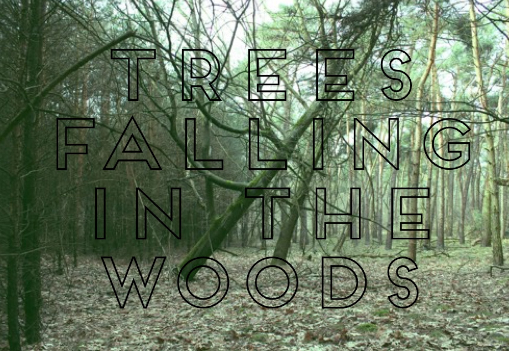 Trees Falling in The Woods